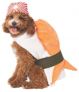 Pet Costume