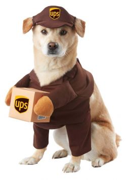 Pet costume-UPS canine delivery 