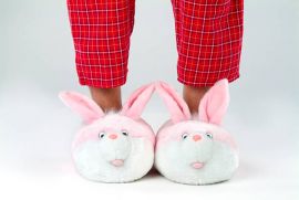 Novelty slippers